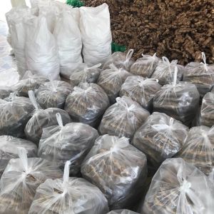 Burma Aid 2022-03-d.JPG