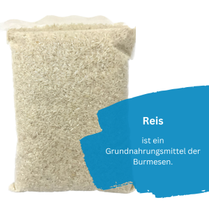 Reis.png