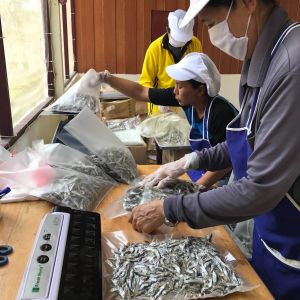 Burma Aid 2022-03-b.JPG